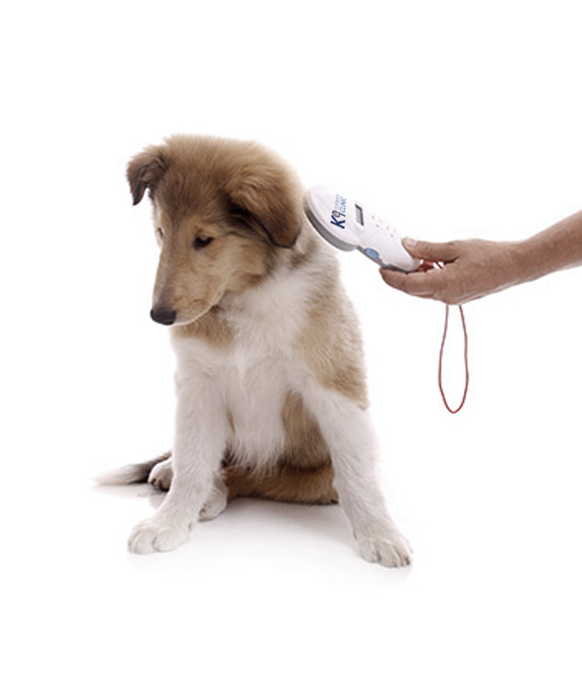 k9 microchipping service